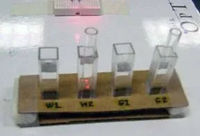 Photo shows four glass vials in holes cut in a rack made of cardboard. Vials labeled W1, W2, G1, G2.