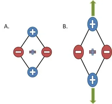 A schematic shows a diamond shape composed of positive signs on the top and bottom and negative signs on the left and right. Next to this diagram is the diagram in the same shape, but stretched vertically.
