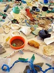 A photograph shows a wide assortment of marine debris much of it plastic parts, components and broken pieces including lids, netting and bottles.