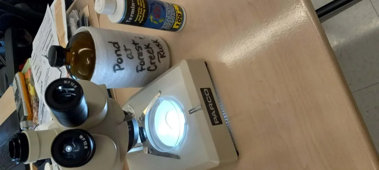 Photo showing a microscope, a bottle of nutrients, and a water sample collected from a local body of water.