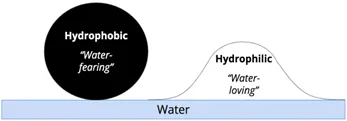 A diagram showing a droplet on a water surface. A large, tight, spherical black droplet is labeled "Hydrophobic" (water-fearing), illustrating minimal contact with the water. A low, spread-out droplet is labeled "Hydrophilic" (water-loving), illustrating maximum contact.