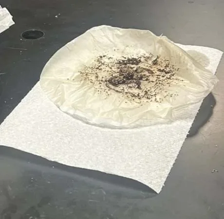 A photo showing pepper that has been “extracted” (captured using a coffee filter) and set aside to dry overnight so the mass can be calculated the following day.