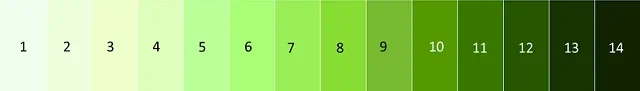 A diagram shows a scale of 14 numbered shades of green, with the lightest green on the left numbered 1 and the darkest green on the right numbered 14.