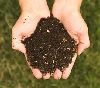 A photograph of two hands cupped together and holding a small pile of dark, soil-like compost material.