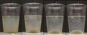 Photo shows four clear plastic cups, each half-filled with a cloudy liquid. In each image, left to right, the liquid is increasingly more clear with a growing brownish-white pile at the bottom of each subsequent cup.
