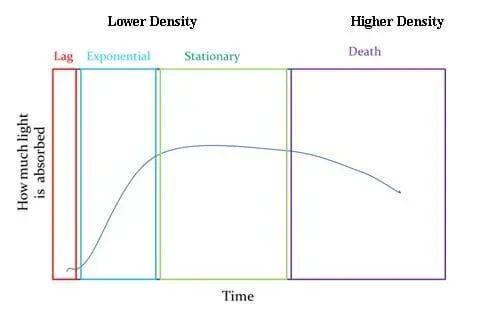 A graph shows time vs. how much light is absorbed.