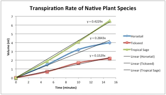 A line graph titled Transpiration Rate of Native Plant Species plots volume (ml) vs. time (minutes) for three native plant species: horsetail (blue), tickseed (red), tropical sage (yellow). Best fit black lines are drawn over each colored line plot made from three data points. Slopes for red (y=0.1529x), blue (y=0.2843x) and yellow (y=0.4229x, steepest).