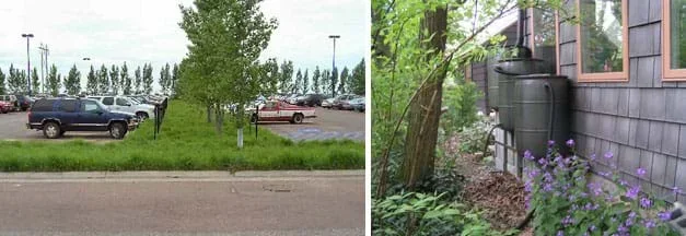 Two photographs: Between two rows of parked cars are lush grasses and trees, with a ring of trees visible at the farther end of the parking lot. Two plastic 50-gallon barrels are shown next to the side of a house with a pipe from the gutter above going into one of the barrels.