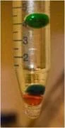 One red and two green liquid orbs suspended at different heights in a vial of pale yellow liquid.