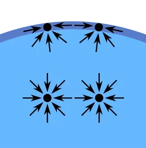 A cutaway diagram of a liquid depicts a few molecules in its mass and at its surface. Arrows around those in the liquid indicate forces equally around the molecules, compared to arrows around molecules at the surface, showing forces from the water sides, but not the air sides.