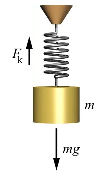 A spring depicting the fundamentals of Hooke's law.