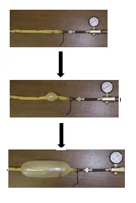 Three sequential photos of the activity's experimental setup show the latex tubing, which is attached to a bike pump with an air pressure gauge, expanding due to due constant air pressure, illustrating how energy propagates uniformly rather than by simply expanding to the point of explosion.