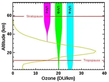 A graph of ozone (DU/km) vs. altitude (km) shows the levels of ozone at varying altitudes and the amount in which the ozone levels are able to block the three types of ultraviolet radiation: UVA, UVB and UVC.