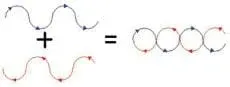 Drawing shows a curvy blue-arrowed line added to a curvy red-arrowed wave with opposite curves, resulting in a row of circles formed from the combined blue and red lines.