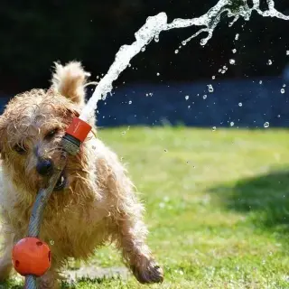 water_filtration.jpg