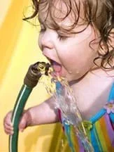 Photograph shows a toddler drinking from a garden hose.