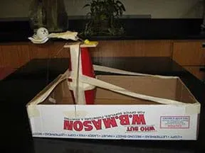 Photo shows a device made of tape, cups, plastic forks and a mouse trap in a box top.