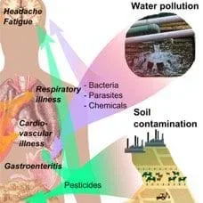 Protect Your Body, Filter Your Water!