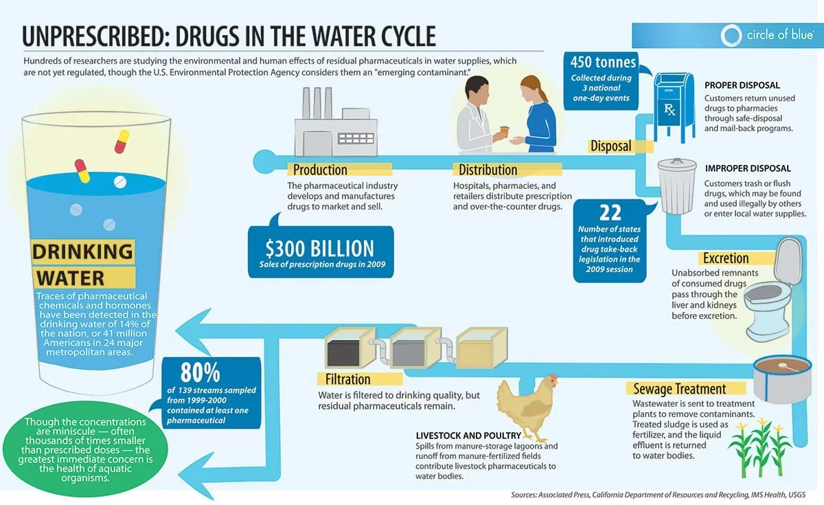 An infographic showing the process of how drugs end up in our drinking water.