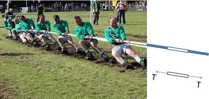 A photo shows a tug of war team of ~10 men with their heels dug in, pulling hard on a rope, creating a pulling (tension) force. Extending from the rope in the photo, a line drawing shows the rope elements and a free body diagram of one rope segment.