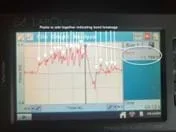 A photo of a Vernier interface with a series of 20 peaks. The peaks represent the force needed to break a bond between amino acids.