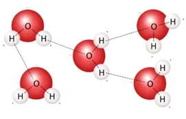 An image that depicts the molecular structure of water (H₂O) and the hydrogen bonds between water molecules.