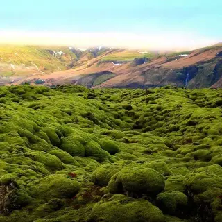 wst_environmental_lesson01.jpg
